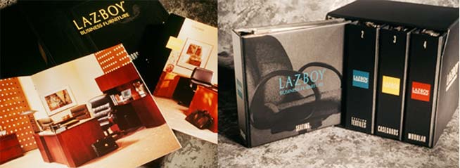 Image of LaZBoy Project